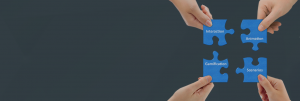 Custom elearning development