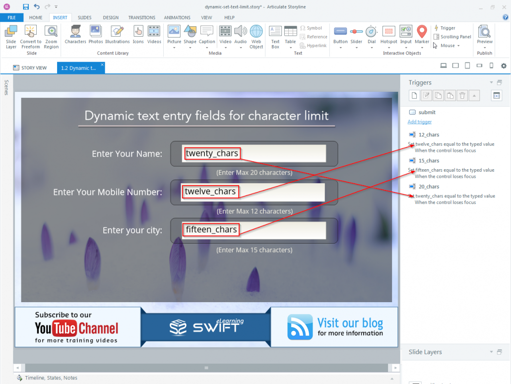 How to set Character limit for a dynamic text entry field in Articulate Storyline-step04