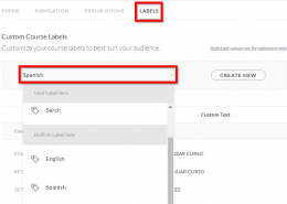 Articulate Rise eLearning Course Translation & Localisation