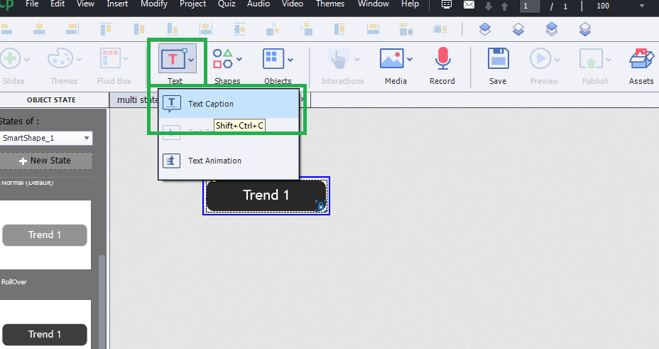 Adobe-Captivate-Introduction-to-Multi-State-objects 10