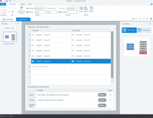 Custom made Effective and Engaging eLearning Interactivities