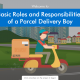 Elearning Sample-Basic Roles and Responsibilities of a Parcel Delivery Boy