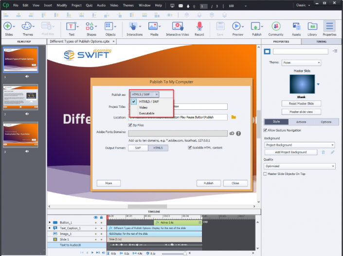 Adobe Captivate 2019 – Types Of Publish Settings