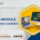 How to Create Multi-Module Branched Course With Adobe Captivate 2019