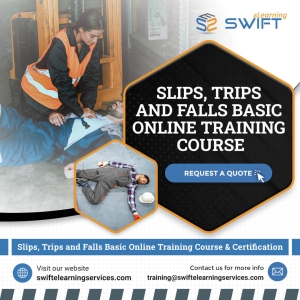 Slips, Trips and Falls Basic