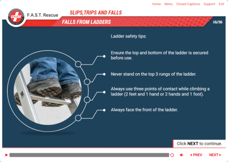 Slips, Trips and Falls Basics