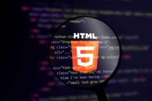 Flash to HTML5 Conversion Flash to HTML5 Conversion: The Demise of Flash and the HTML5 Revolution