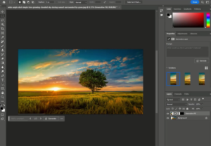 You can observe the image filling the expanded area.