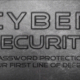 Cybersecurity - Password Protection