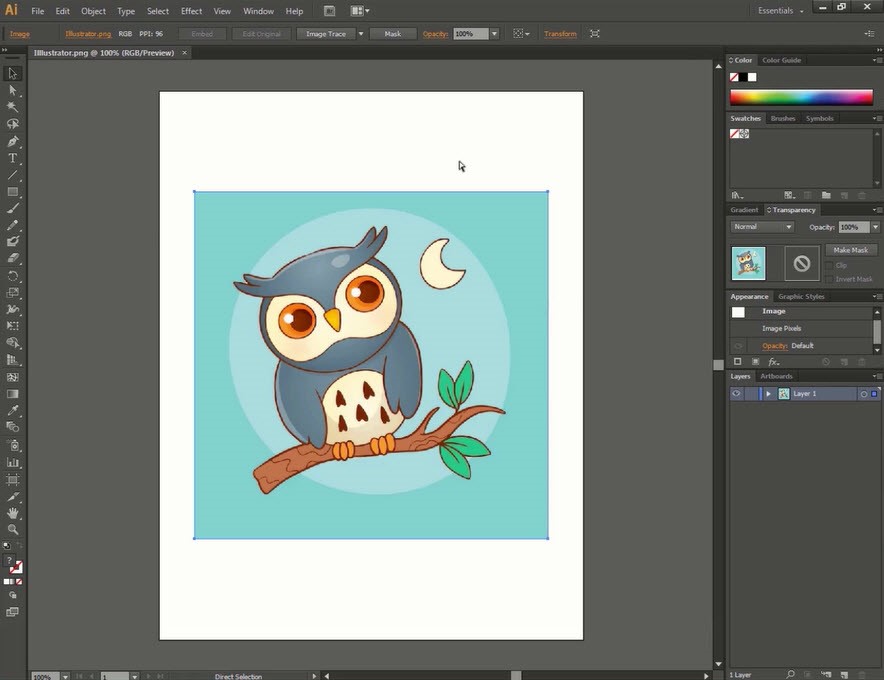 Adobe Illustrator