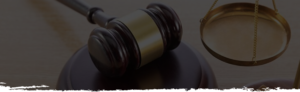 Due Diligence Law