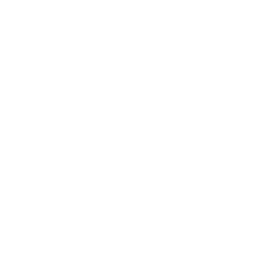 Executives-and-Managers | Swift eLearning Services – Custom eLearning and Digital Training Solutions