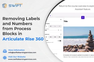 Removing Labels and Numbers from Process Blocks in Articulate Rise 360